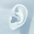 Уши Уши