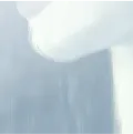 Челюсть Челюсть