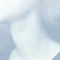 Шея Шея